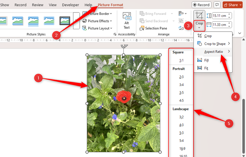 The Aspect Ratio options for a selected image in Microsoft PowerPoint are expanded.