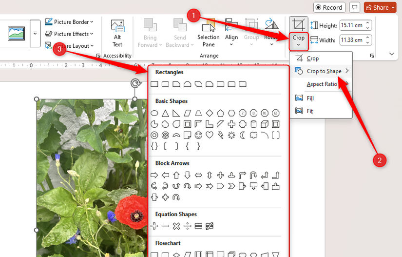 The Crop To Shape option in Microsoft PowerPoint is selected, with the various shape options on display.