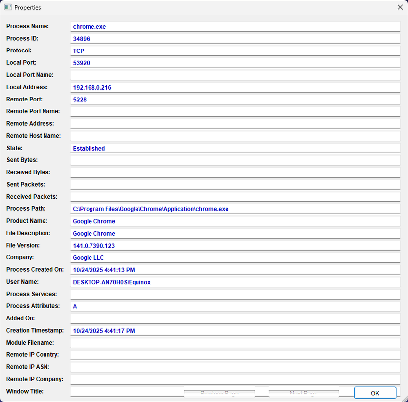The details of this instance of Chrome.
