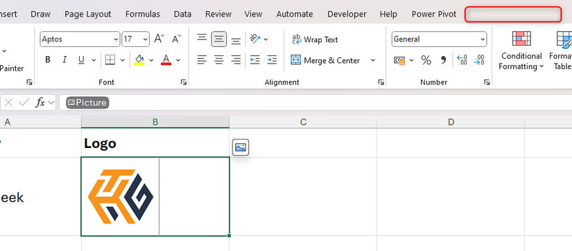 The Excel ribbon absent the Picture Format tab.