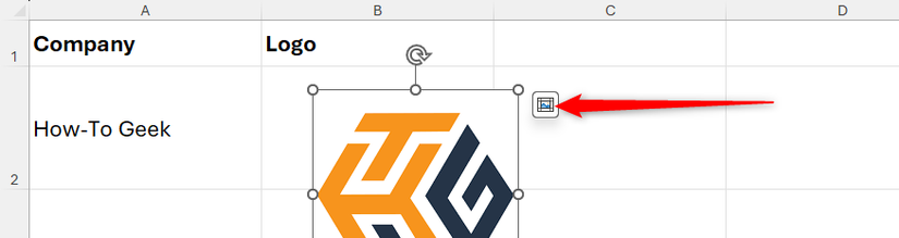 The Place In Cell icon next to a picture in Microsoft Excel is selected.