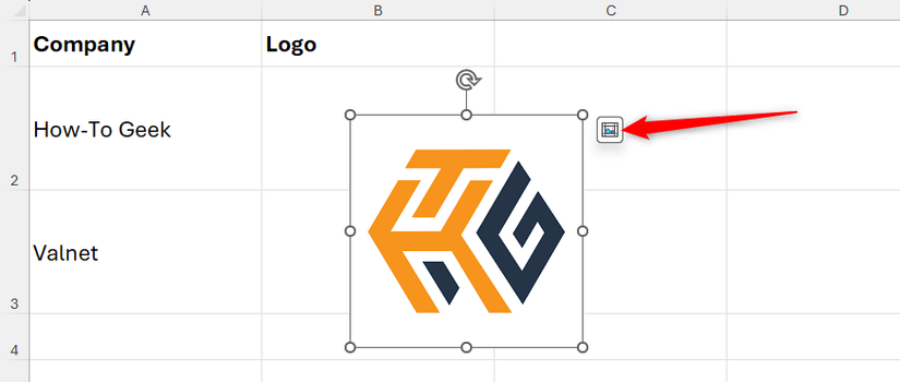 The Place In Cell icon next to an image of the HTG logo is selected in Excel.