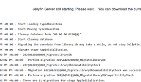 The Startup UI on Jellyfin verison 10.11.0.