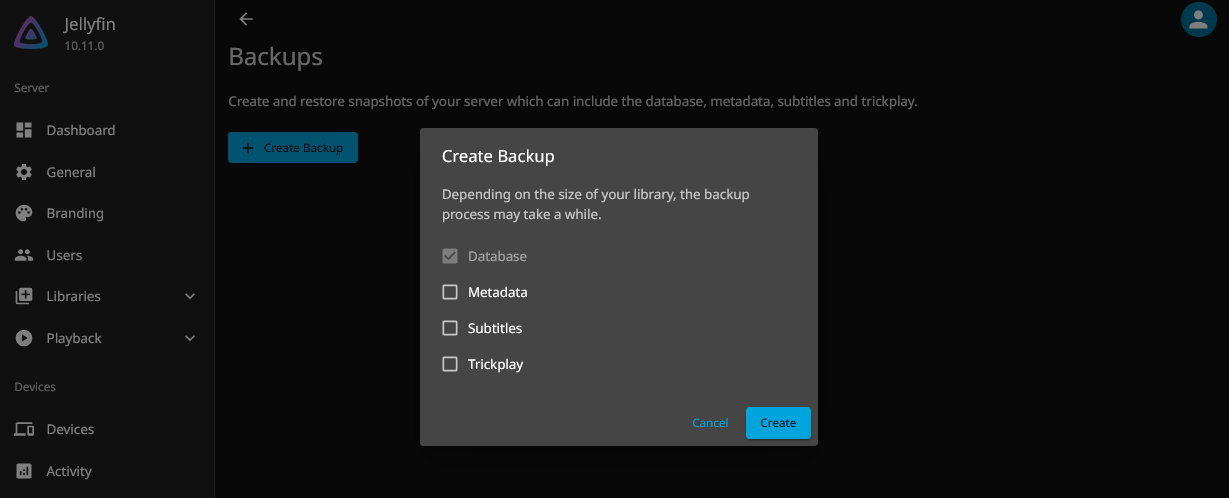 The system backup interface on Jellyfin 10.11.0.