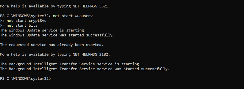 Restarting some services in the PowerShell on Windows.
