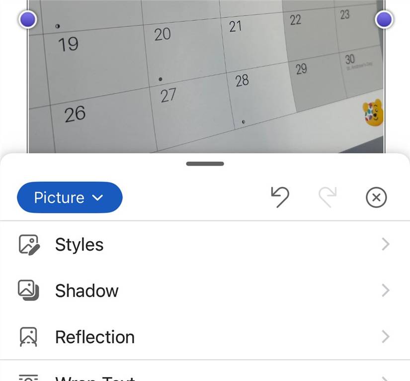 A phone-taken picture is added to a Word document in the iOS app, and the Picture tab is opened.