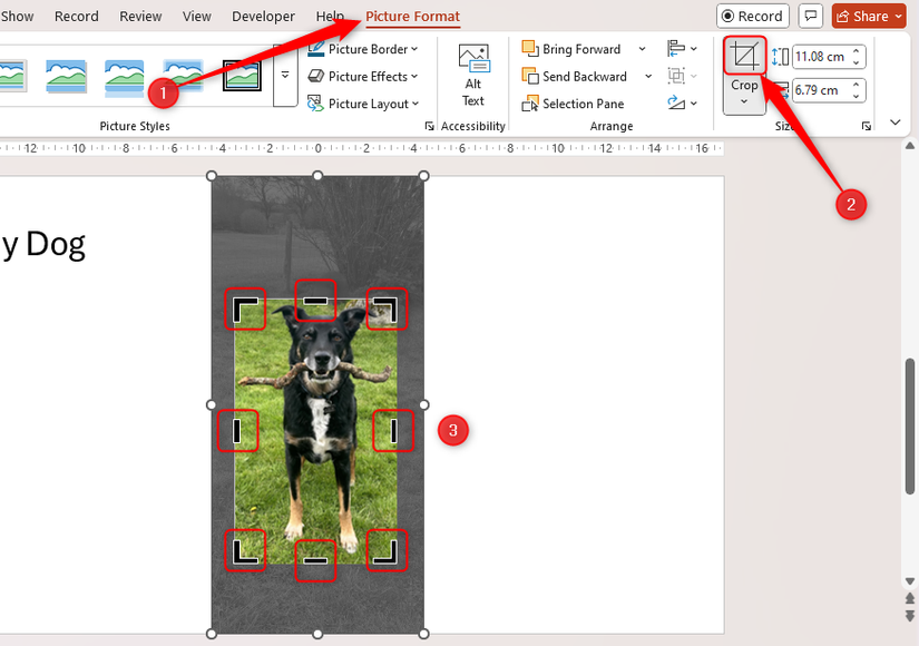 How To Remove Picture Backgrounds In Microsoft PowerPoint How To Remove Picture Backgrounds In Microsoft PowerPoint