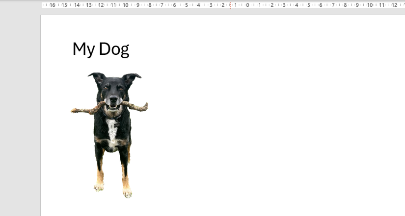 A picture of a dog in PowerPoint with the background removed.