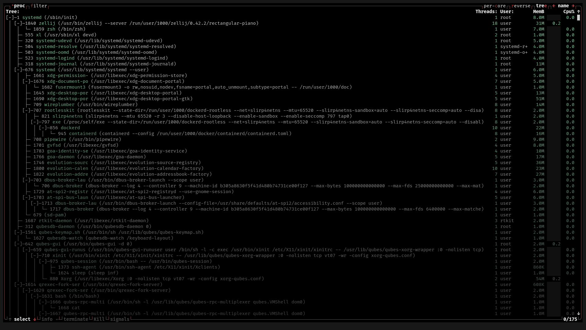 A terminal window displays a b-top++ window. The screen displays only the process section, which takes up the entire viewport.