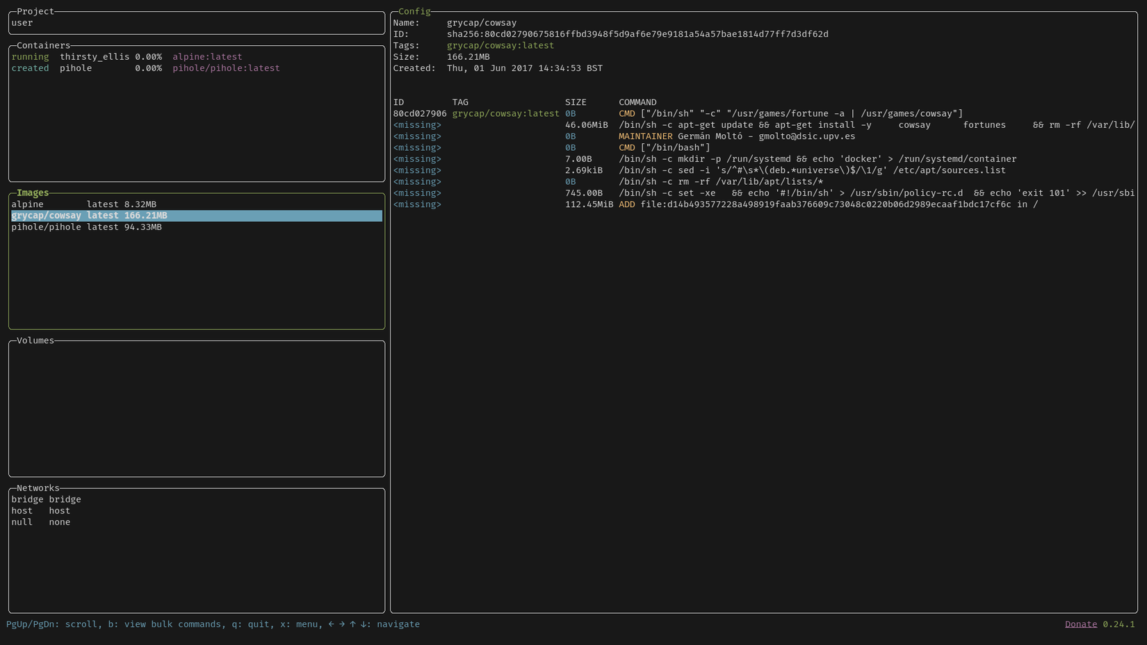 В терминале открыта панель управления Docker: 5 областей с отображением информации по образам, процессам, томам и сетям, а также подробная информация о выбранном объекте.