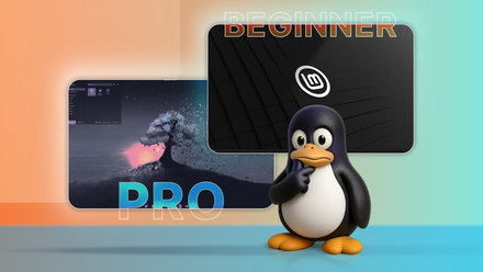 3 causes a NAS is the easiest way to be informed Linux A thoughtful Linux mascot beside two Linux desktop screens, divided into