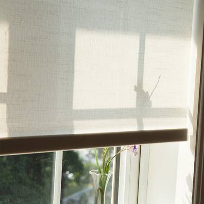 Allesin smart motorized shadow close-up