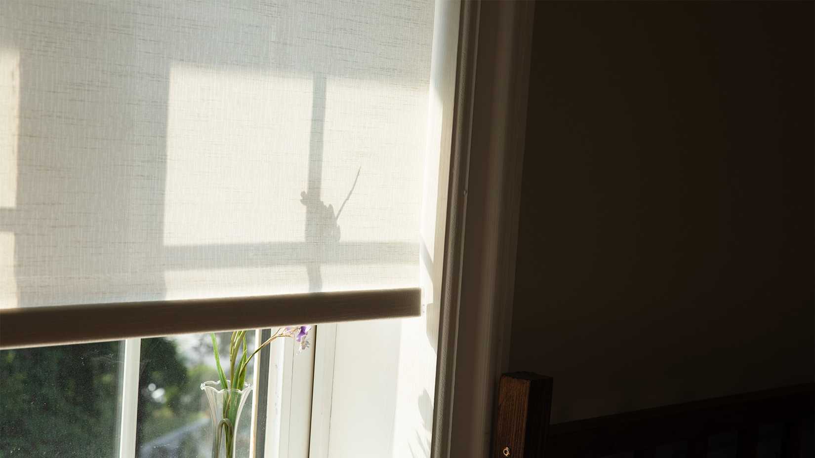 close up of half open allesin smart motorized lampshade with streaming sun and flowers on windowsill