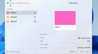 Colors only filter type in Raycast.