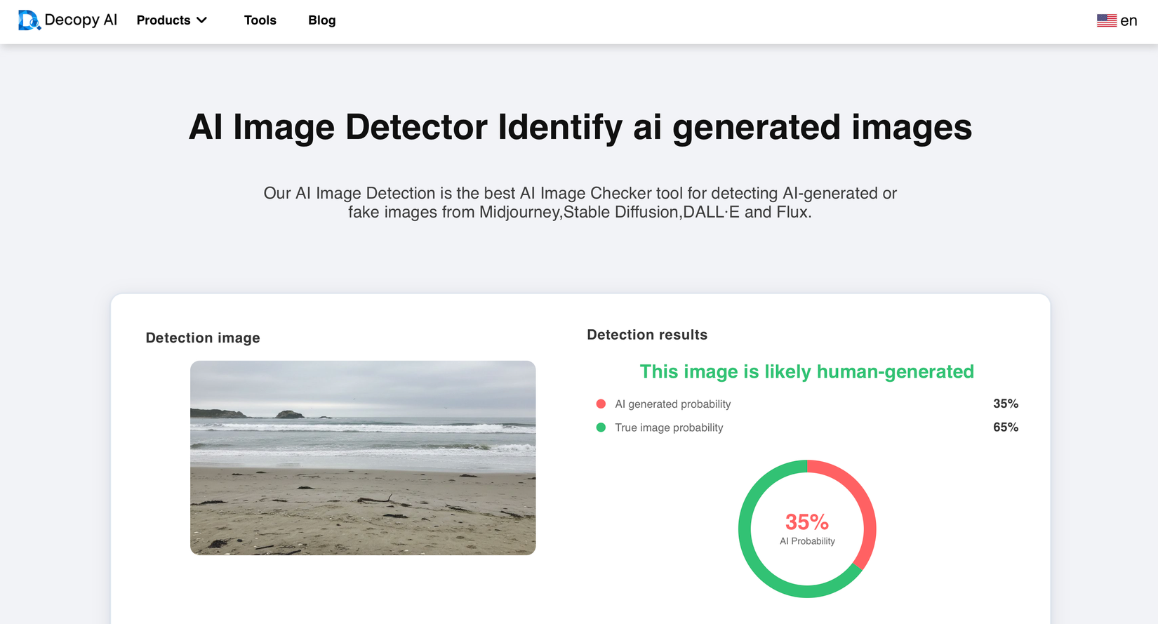 Decopy AI image detector.