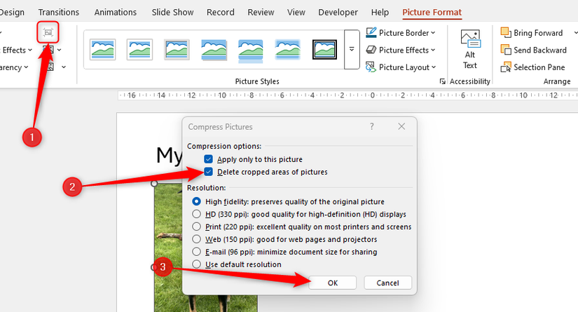 Delete Cropped Areas Of Pictures is checked in PowerPoint's Compress Pictures dialog box.