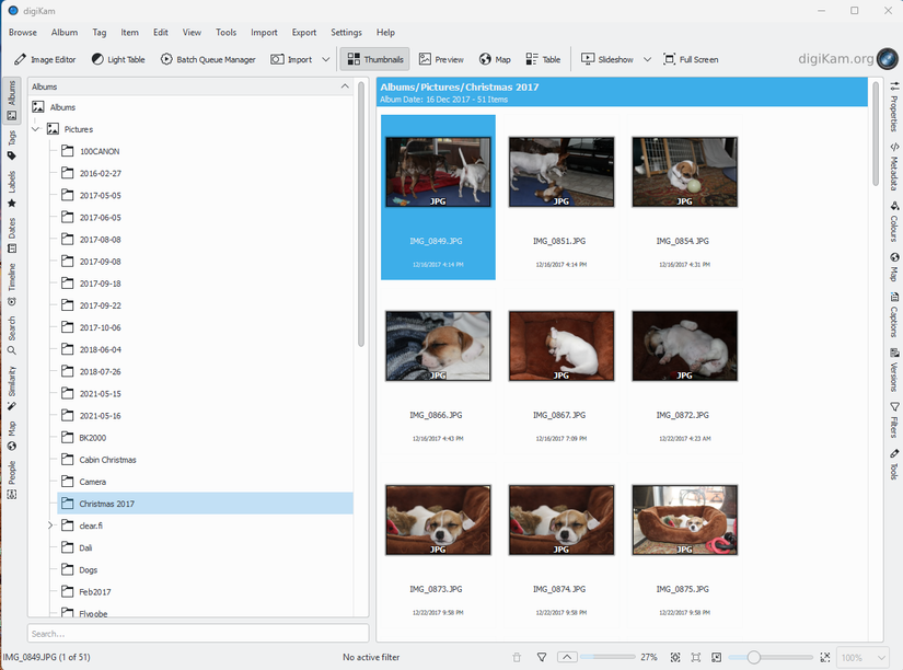 A screenshot of the open-source photo manger, DigiKam. A library of phots with dogs is open.