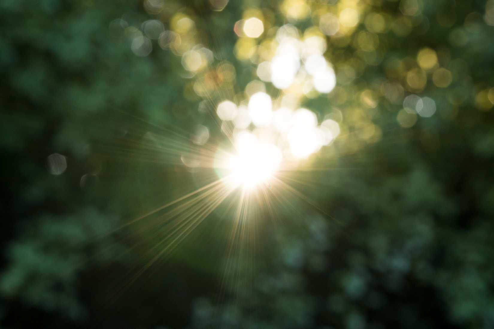 A shot of nothing but Bokeh and sunshine.