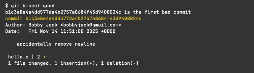 Quando git bisect percebe que encontrou a origem de um bug, ele mostra detalhes do commit, incluindo a mensagem do commit e um resumo das alterações do arquivo.