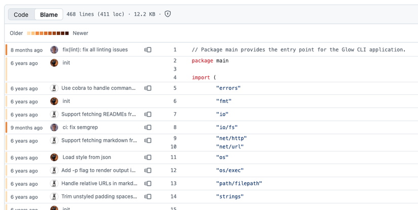 A interface do GitHub mostrando um arquivo em 