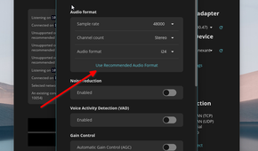 Recommended audio format configuration enabled.