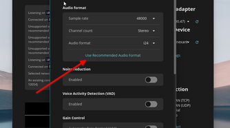 Recommended audio format configuration enabled.