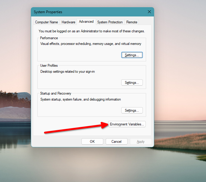 Editing environment variables.