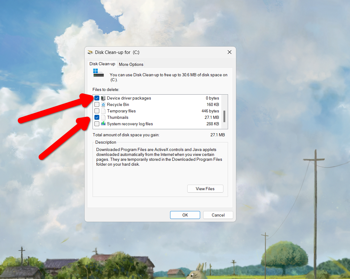 Using the Disk Cleanup tool.