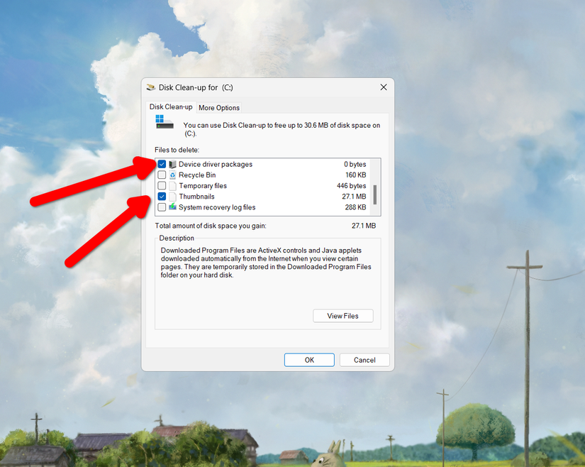 Using the Disk Cleanup tool.