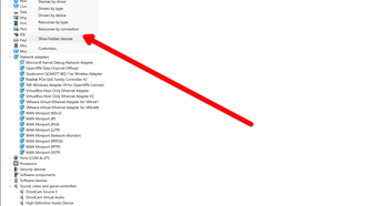 Unhiding devices with the Device Manager.