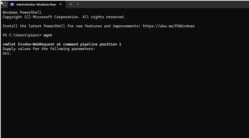 Testing the wget installation.