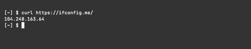 Результат выполнения curl к ifconfig.me — публикуется внешний IP.
