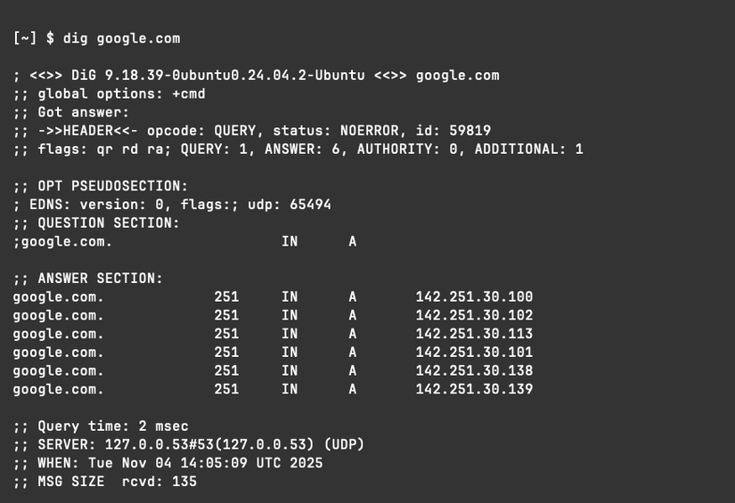 Output from the dig command showing several A records for google.com alongside query time and other low-level networking details.