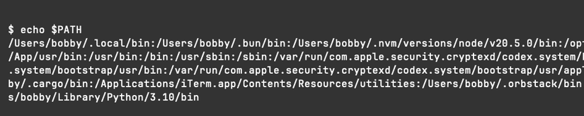 The value of a PATH variable showing one long line containing many paths separated by colons.