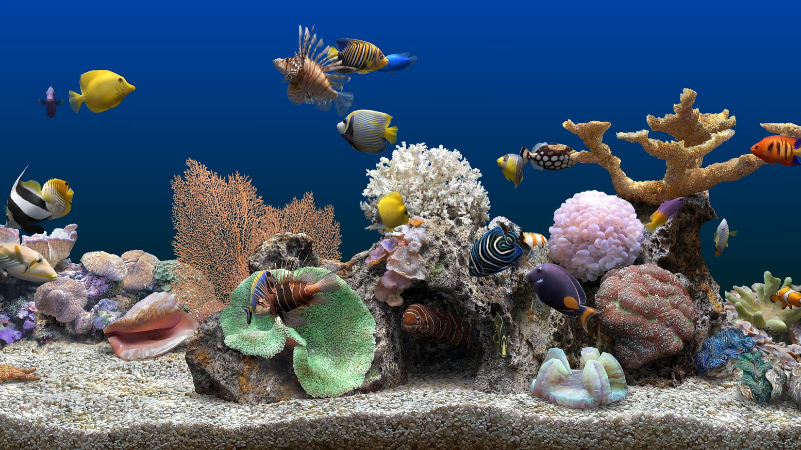 Marine Aquarium 3 Windows screensaver. 