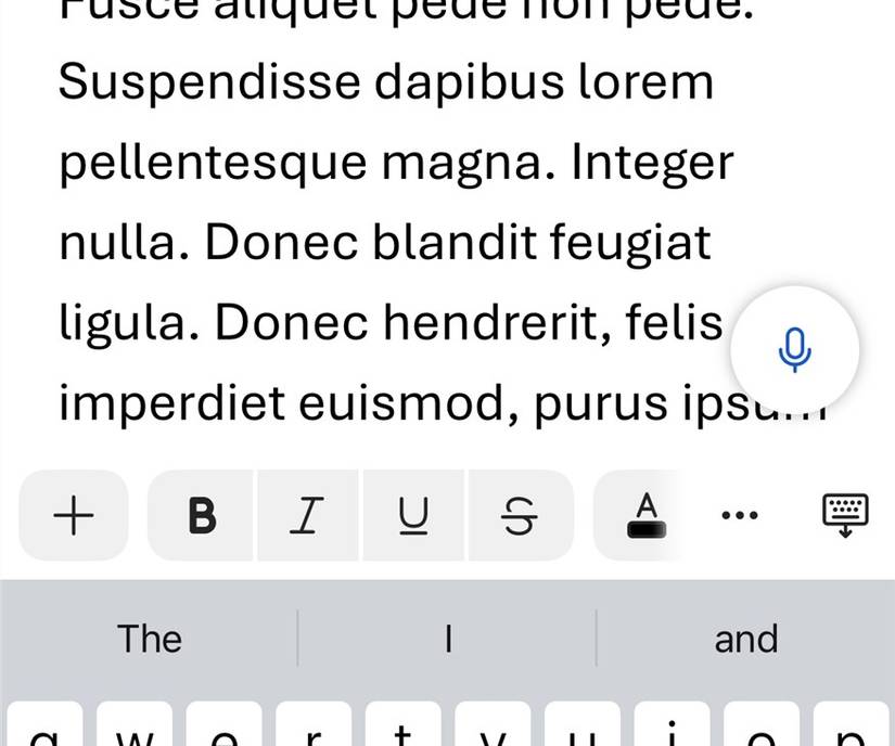 Mobile view in the iOS Microsoft Word app.