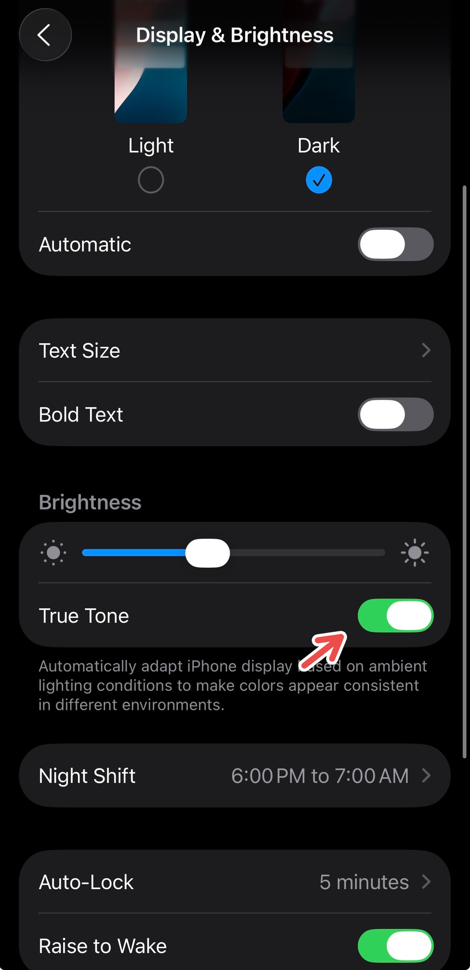 Enabling True Tone on iPhone in Settings.