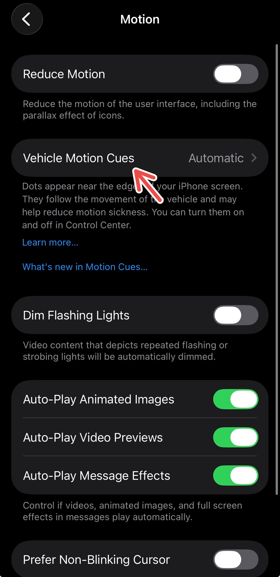 A screenshot on an iPhone showing a red arrow pointing to Vehicle Motion Cues.