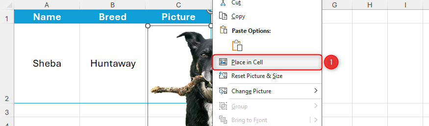 Place In Cell is selected in the right-click menu on a picture in Microsoft Excel.