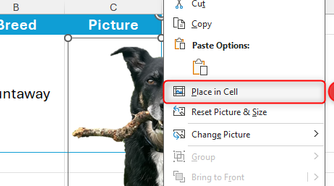 Place In Cell is selected in the right-click menu on a picture in Microsoft Excel.