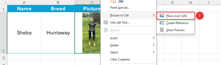 Place Over Cells is selected in the picture right-click menu in Microsoft Excel.