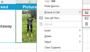 Place Over Cells is selected in the picture right-click menu in Microsoft Excel.