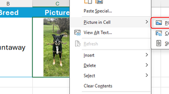 Place Over Cells is selected in the picture right-click menu in Microsoft Excel.
