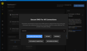 Portmaster selecting DNS during setup.