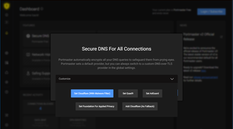 Portmaster selecting DNS during setup.