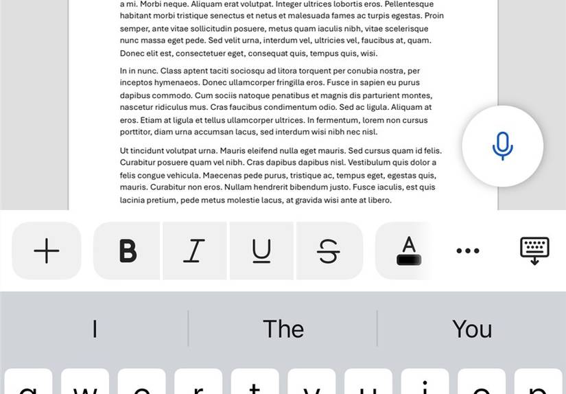 Print View in the iOS Microsoft Word app.