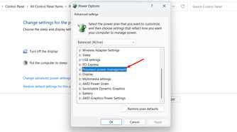 Processor power management option in the control panel.