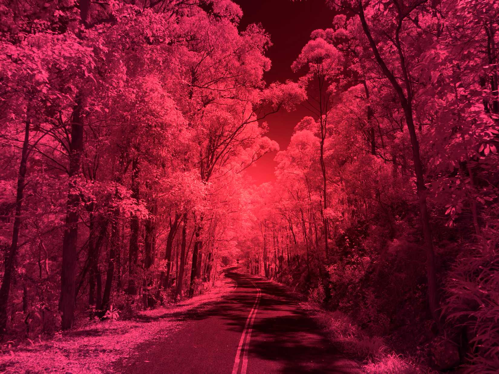 Transparent Photo Infrared Here's how I shoot infrared photographs on my smartphone