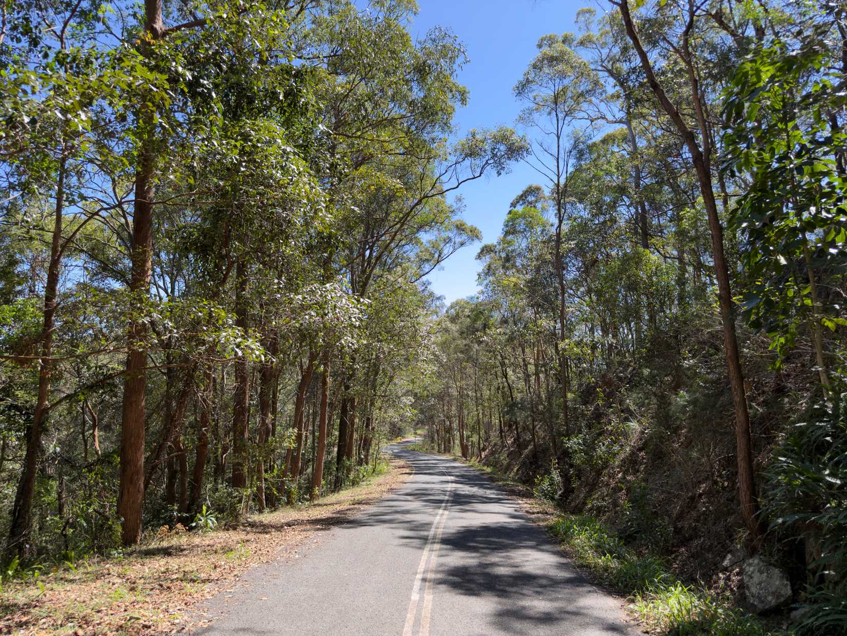 Imagem pré-infravermelha da estrada.