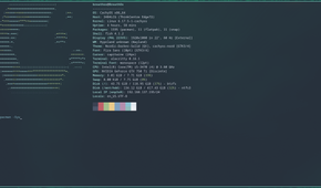 Upgrading Linux using the terminal.
